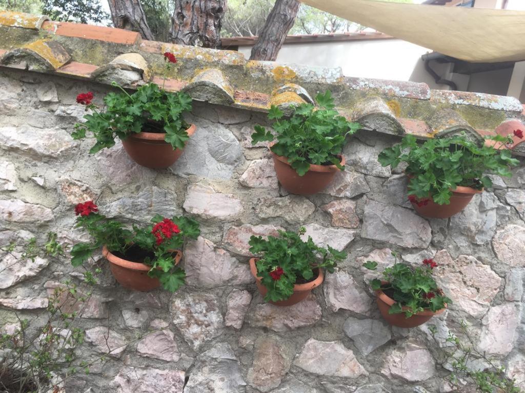 Tenuta Le Marze Кастільйоне-делла-Пеская Екстер'єр фото